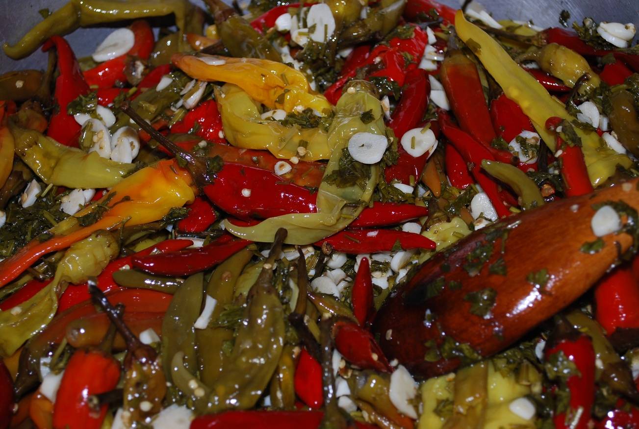 Любимая закуска с кавказа – перец цицак маринованный на зиму: простой рецепт