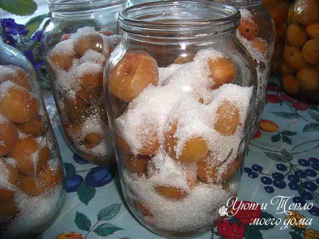 Компот из абрикосов на зиму - простые рецепты приготовления