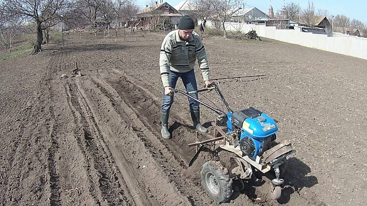 Преимущества посадки и обработки картофеля мотоблоком, техника выполнения