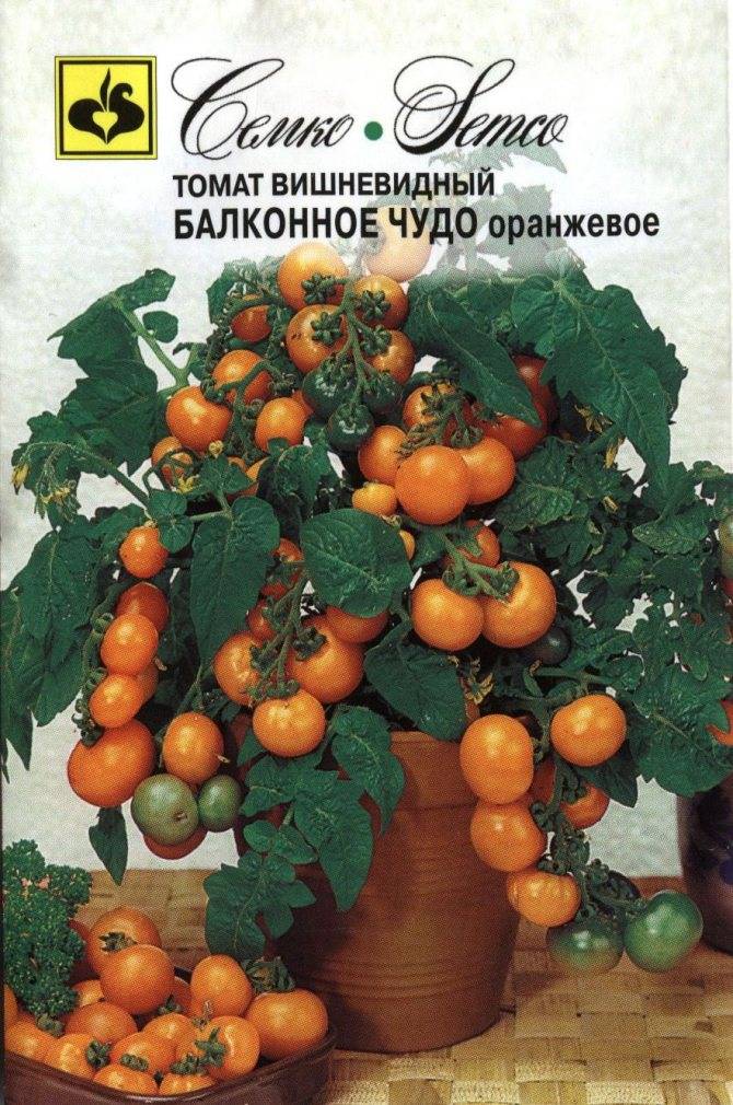 Описание сибирского томата Оранжевое чудо, выращивание и правила ухода