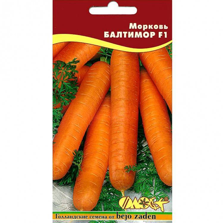 Описание характеристик и обзор лучших сортов моркови, урожайность