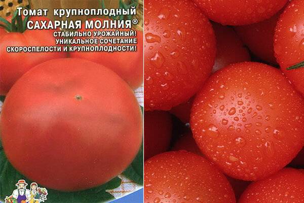 Томат чудо-пальчики от сибирского сада. для любителей вяленных томатов