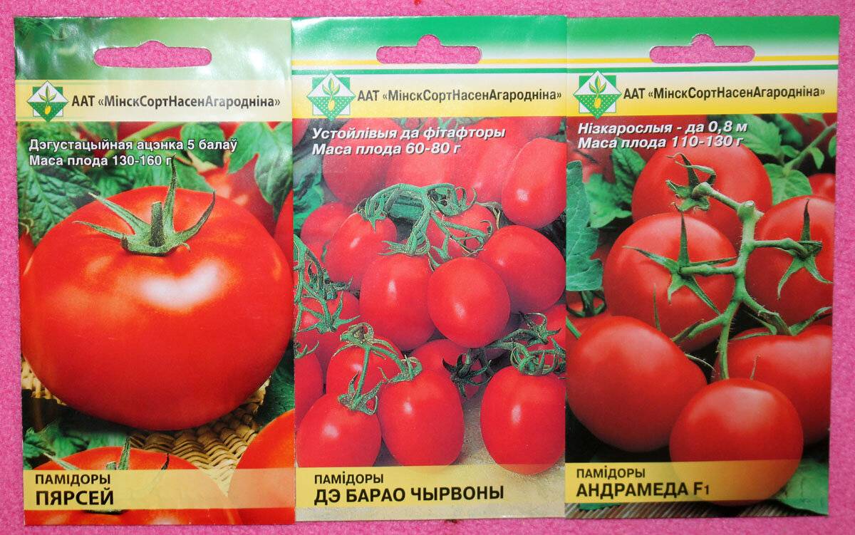 Томат сахалин: характеристика и описание сорта, отзывы об урожайности помидоров, фото куста