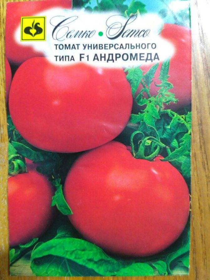 Вкусный и холодостойкий помидор андромеда