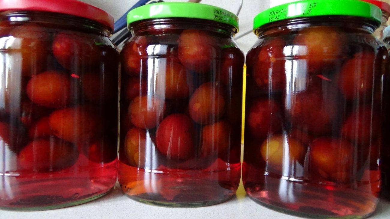 Алыча как оливки на зиму: рецепт маринования, правила хранения консервации