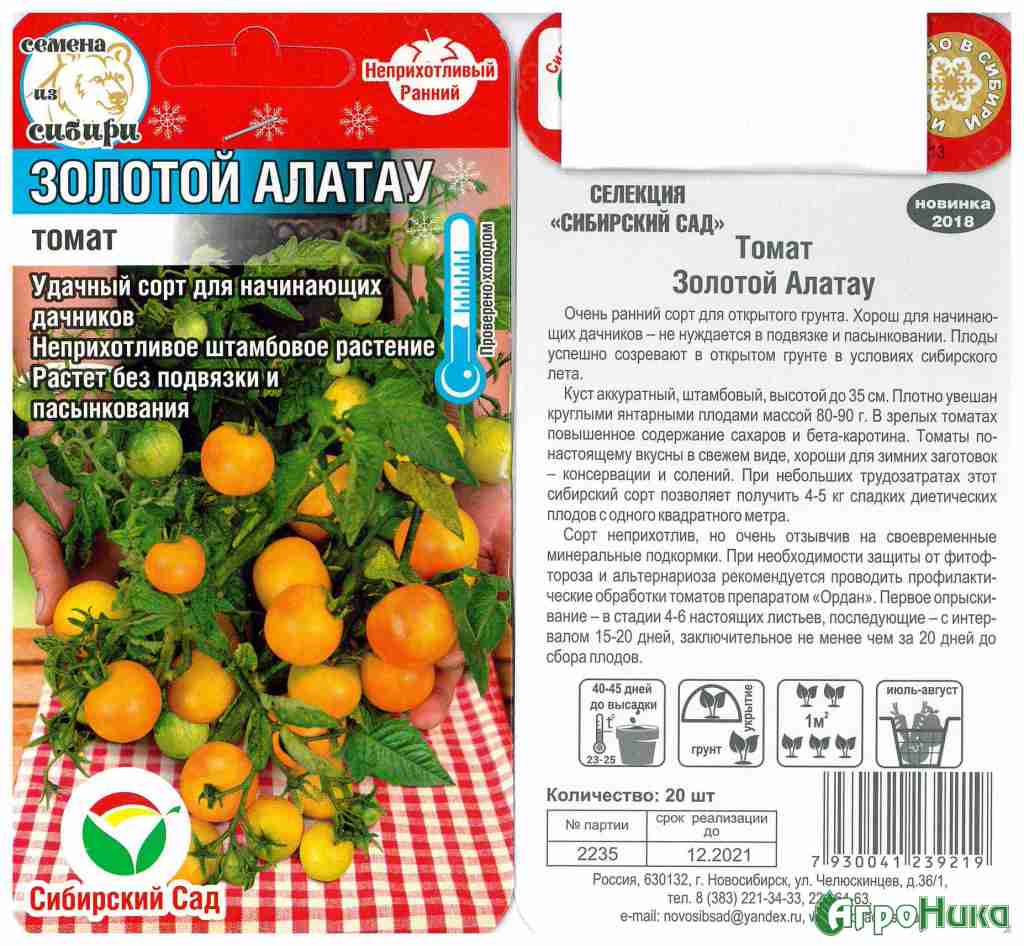 Пошаговая инструкция по выращиванию томата «золотой самородок» и его преимущества