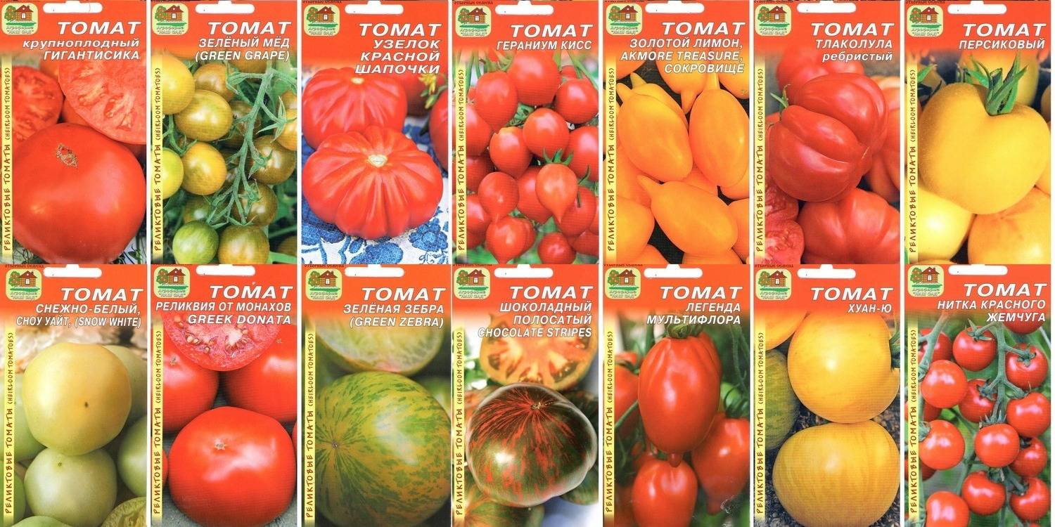 Томат легенда тарасенко (мультифлора): характеристика и описание сорта, урожайность с фото