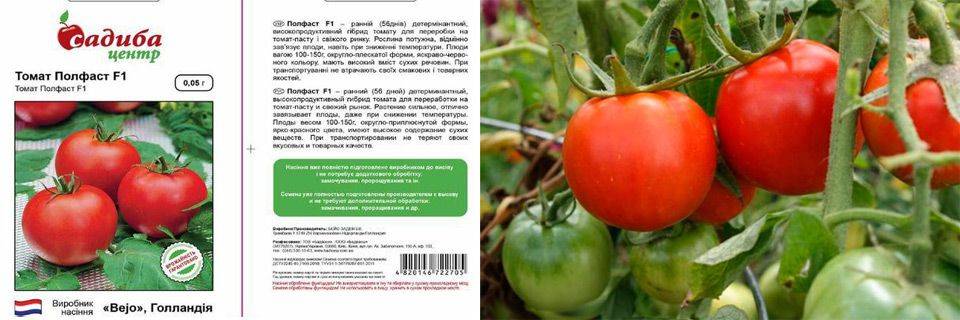 Сорт томата «полфаст f1»: описание, характеристика, посев на рассаду, подкормка, урожайность, фото, видео и самые распространенные болезни томатов