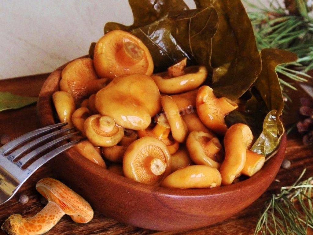 Консервированные рыжики: рецепты, как консервировать грибы на зиму в банках разными способами
