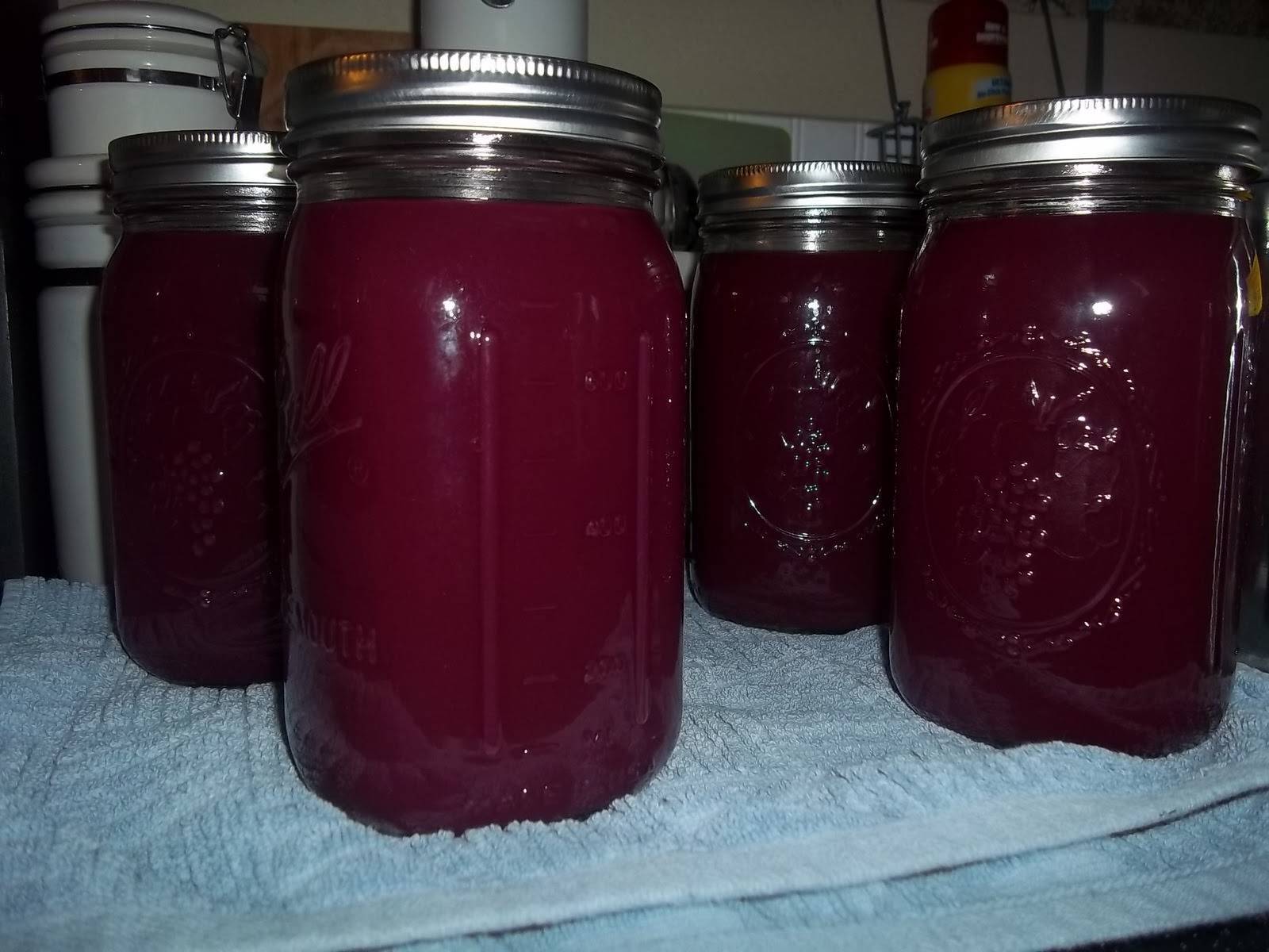 Рецепты приготовления виноградного сока на зиму в домашних условиях