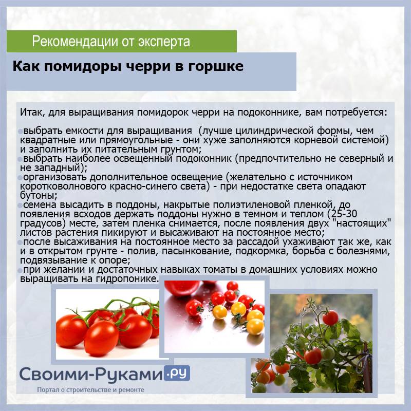 Стоит ли сажать «рогатые» томаты корнабель: обзор минусов и плюсов