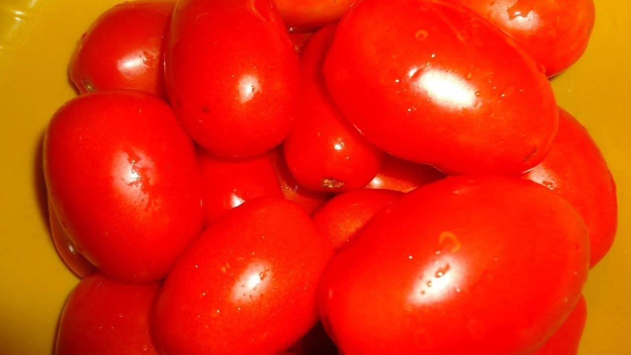 Почему так любим и популярен томат «мечта огородника»: описание сорта и отзывы дачников со стажем