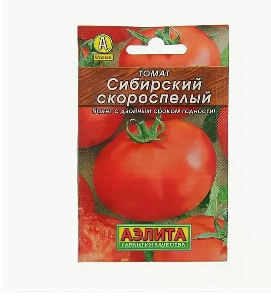 Сибирский скороспелый томат: характеристика сорта, описание растения и особенности выращивания