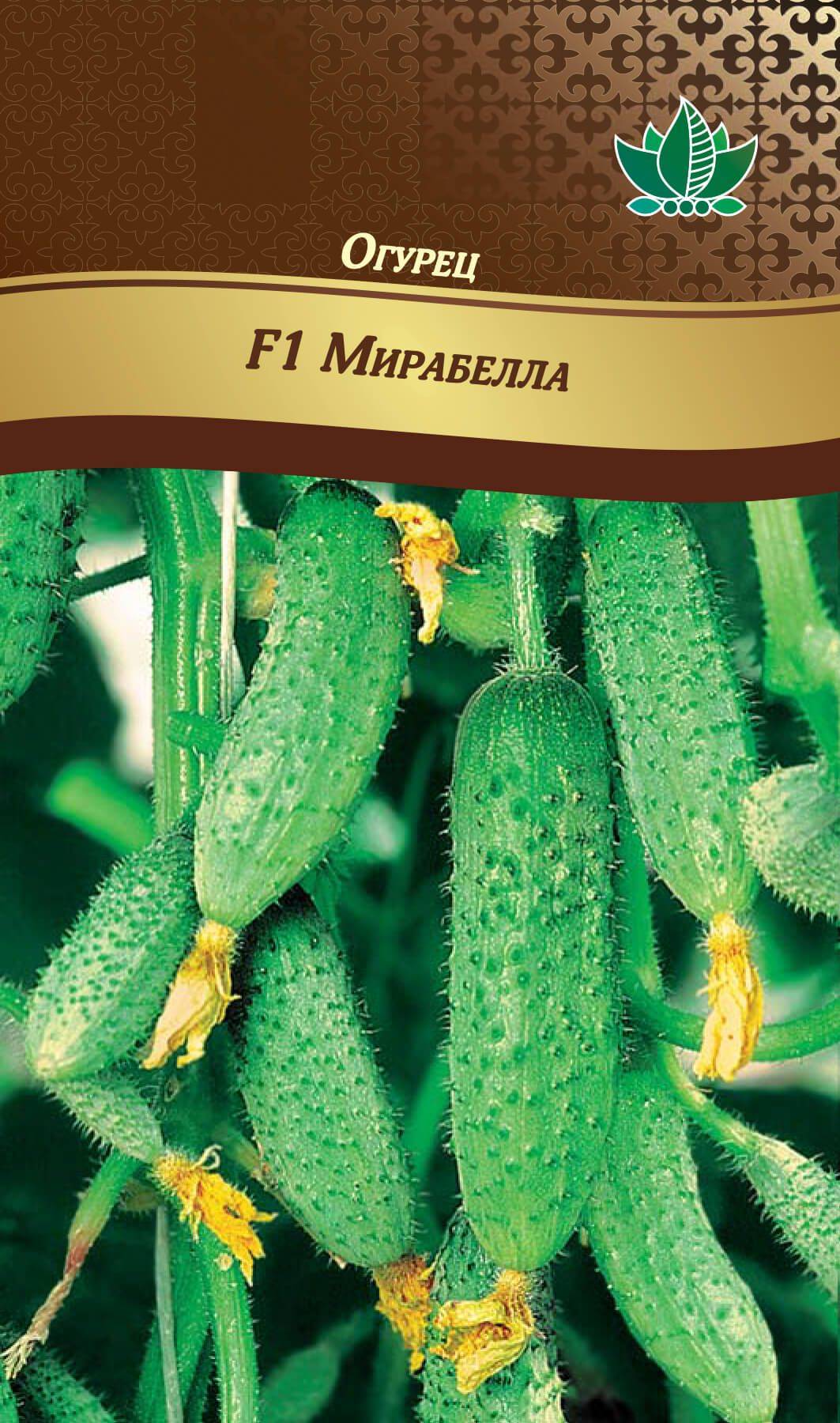 Огурец мирабелла (f1): описание сорта, отзывы тех, кто его выращивал, особенности агротехники