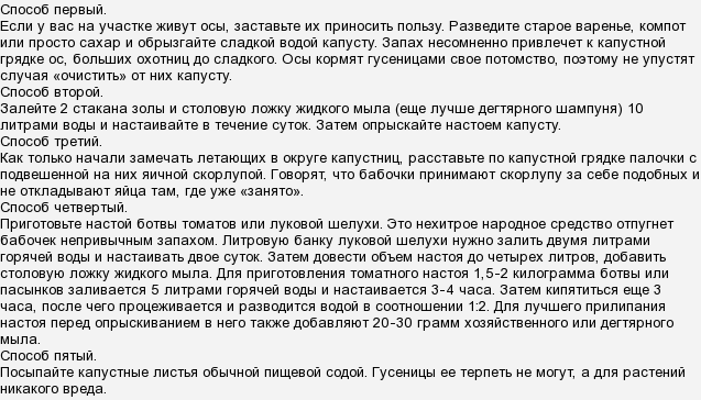 ᐉ как обработать капусту валерьянкой от вредителей? - zooon.ru