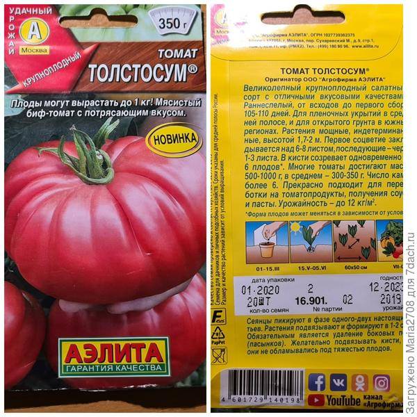 Томат золушка: характеристика и описание сорта, отзывы тех кто сажал помидоры об их урожайности, фото куста