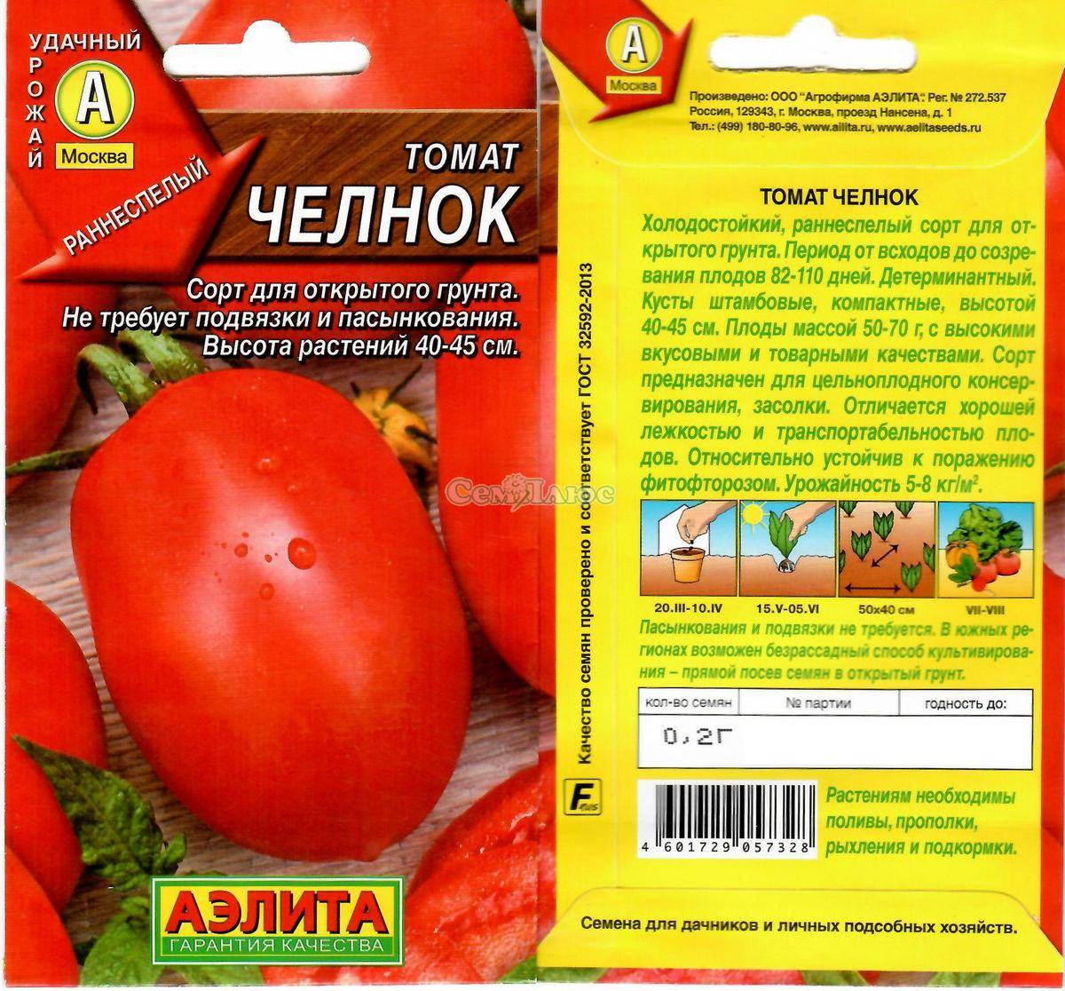 Собираем урожаи не выходя из квартиры — томат челнок: описание сорта и особенности выращивания