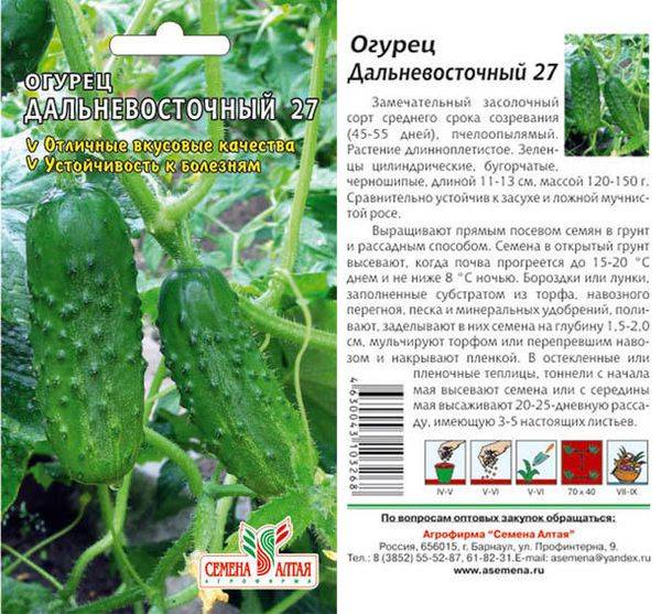 Характеристика и описание огурца сорта Дальневосточный 27, выращивание