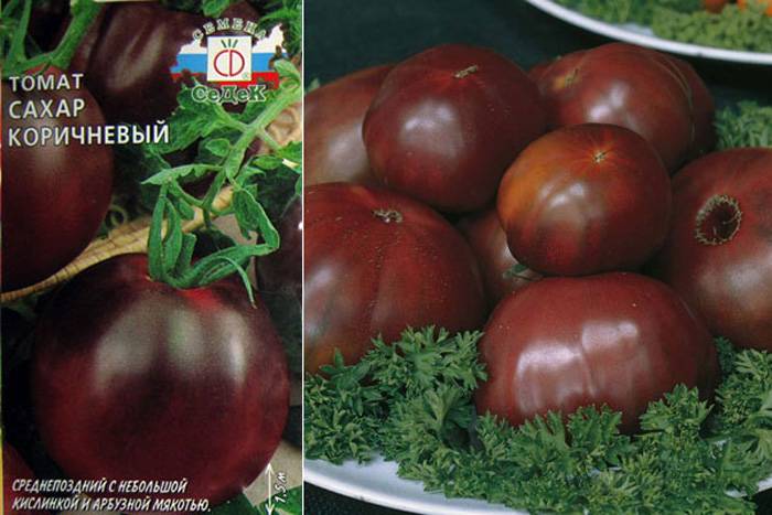 Томат сахар коричневый: характеристики и описание сорта, урожайность, отзывы, фото