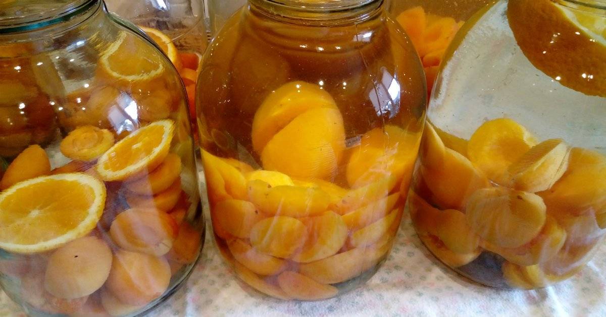 Рецепты компота из абрикосов на зиму: с косточками и без