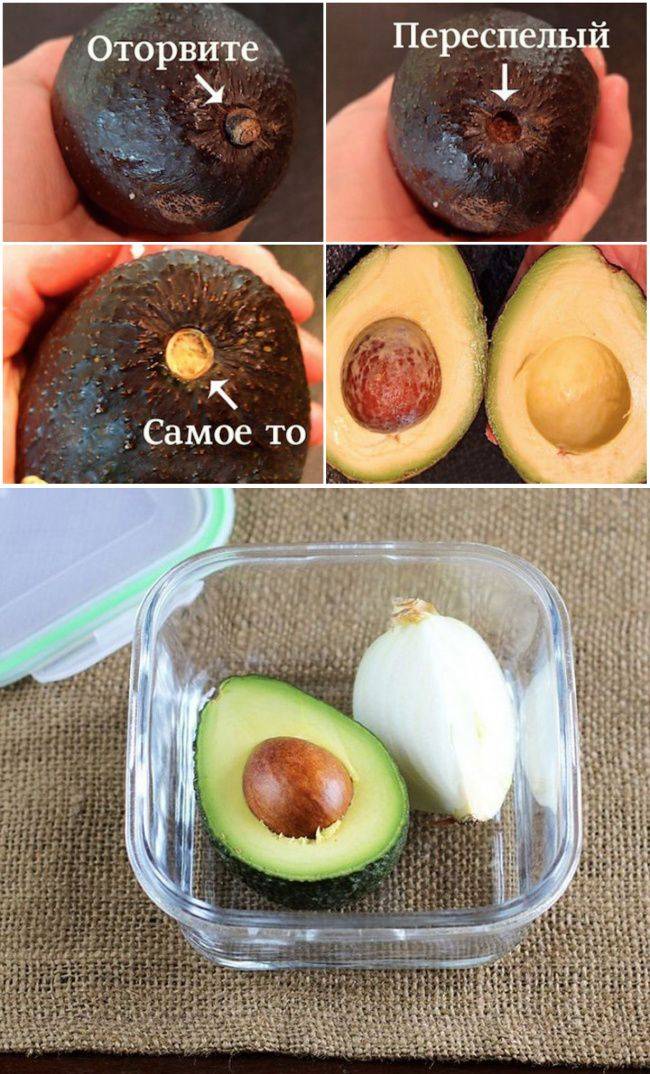 Простые методы дозревания авокадо в домашних условиях