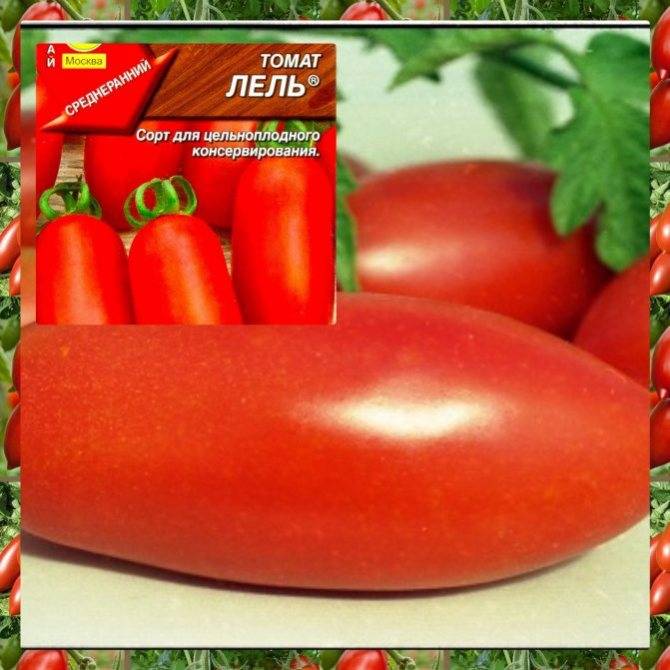 Высокорослые сорта помидор