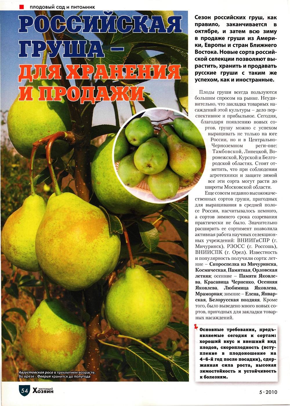 Груша августовская роса: описание сорта, опылители, отзывы садоводов про яблоню