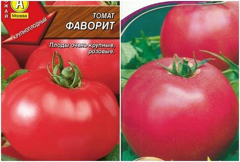 Томаты "фаворит f1": описание сорта, характеристики, фото помидоров