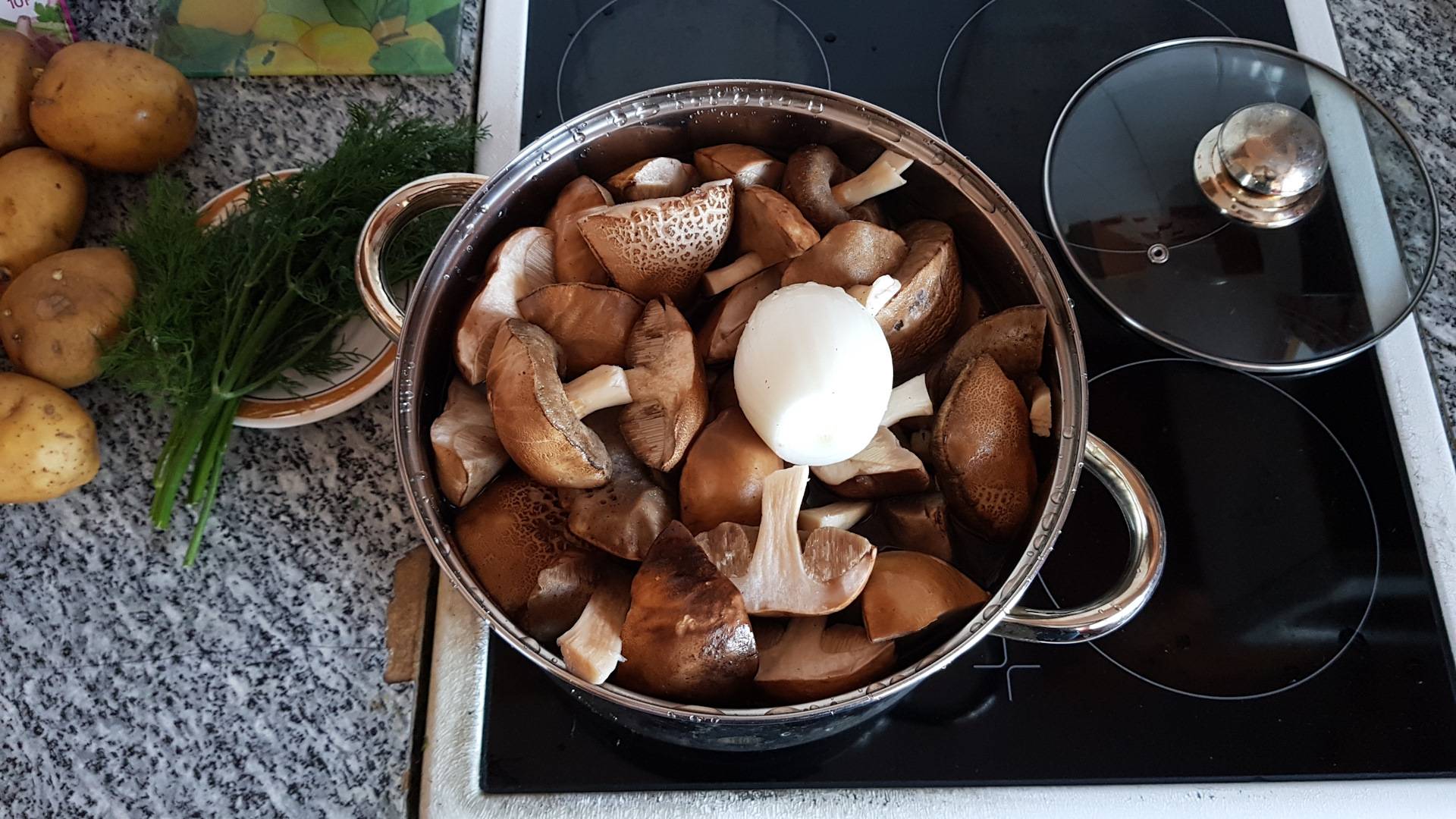 Соление грибов горячим и холодным способами