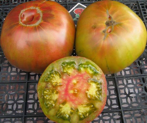Описание томатов сорта «ананас»: особенности их выращивания в открытом и закрытом грунте