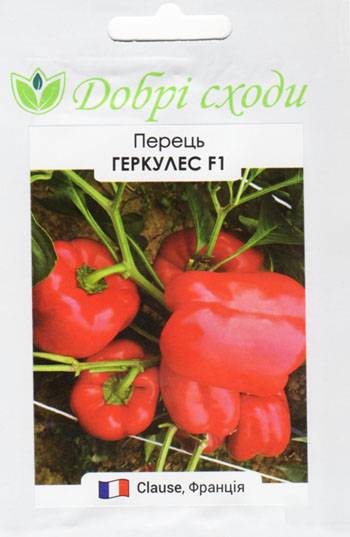 Перец геркулес f1: отзывы огородников, фото, урожайность сорта