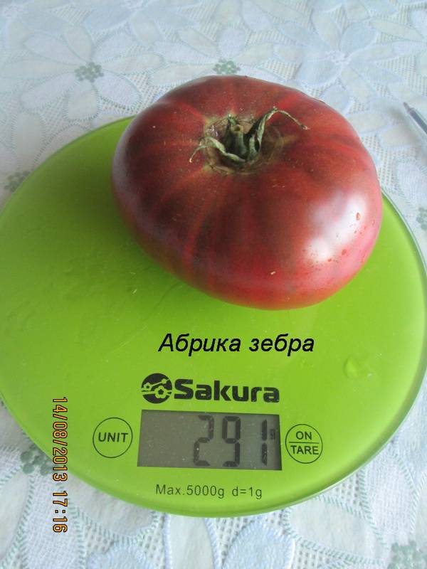 Сорта зеленых томатов. любовь зла, полюбила и их ?