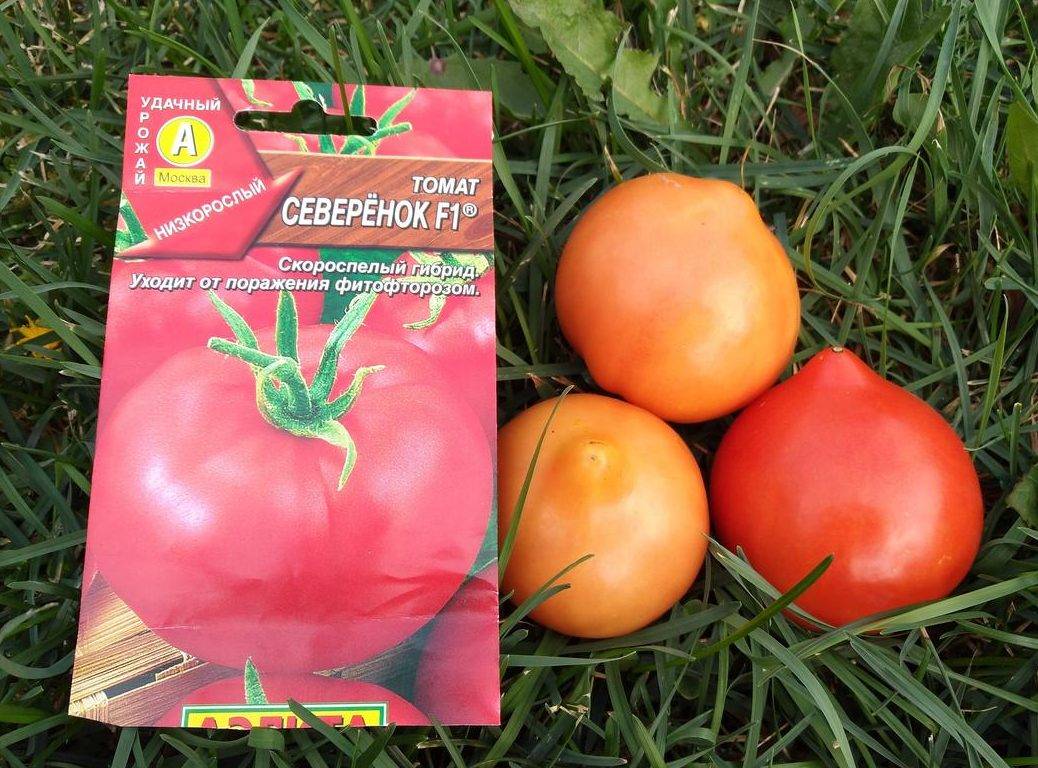 Детерминантные томаты: что это за вид, лучшие сорта, особенности ухода