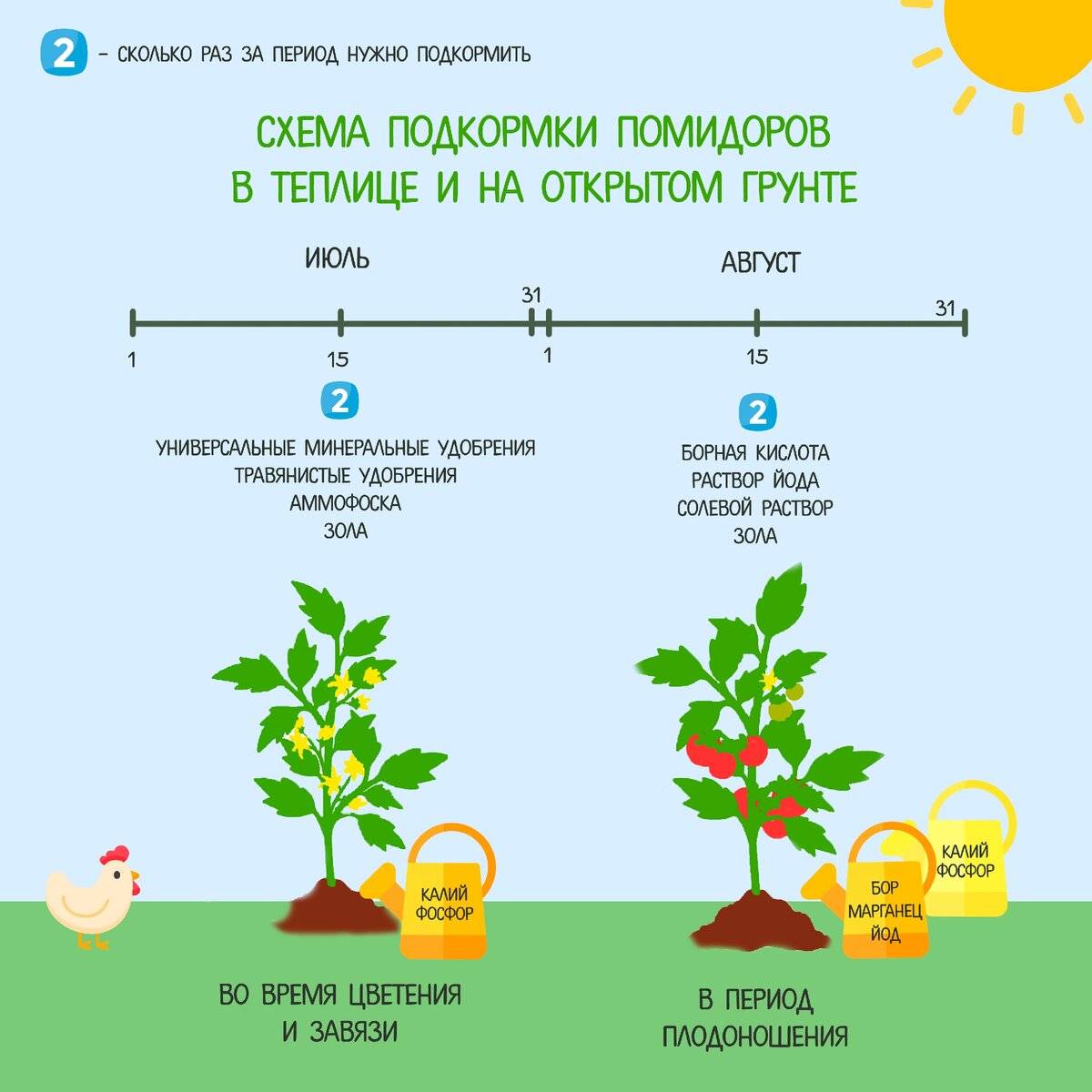Чем подкормить рассаду помидор – секреты и советы, для здоровья и роста + фото