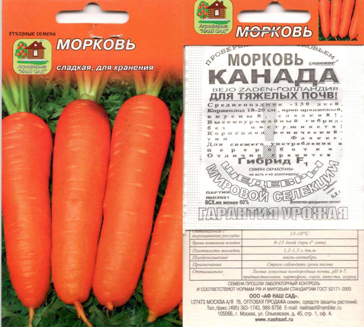 ᐉ морковь канада: описание сорта, фото, отзывы, выращивание - zookovcheg.ru