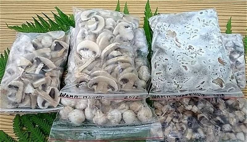 Как заморозить грибы на зиму и сколько можно их хранить в морозилке