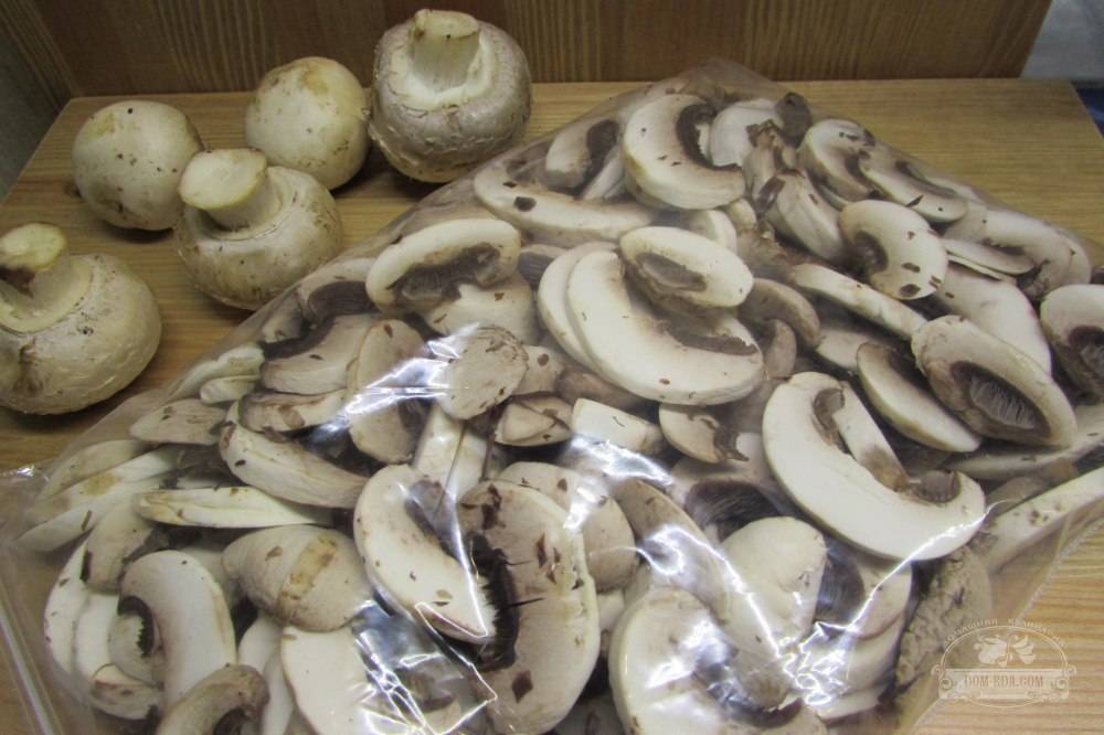 Как правильно заморозить грибы на зиму – заморозка грибов в домашних условиях » сусеки