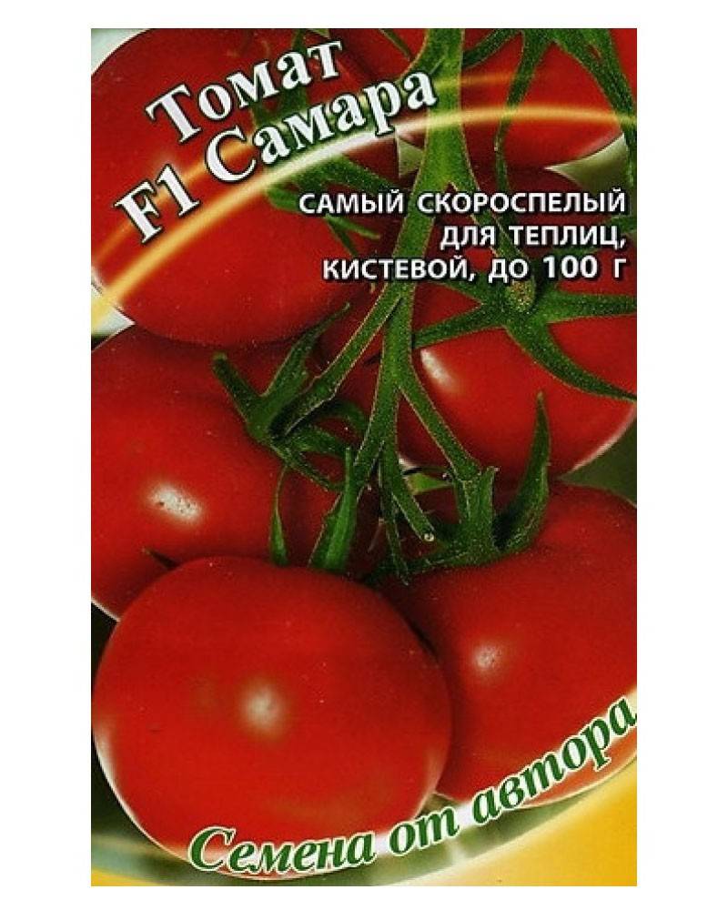 Характеристика и подробное описание томатов Самара, советы по выращиванию