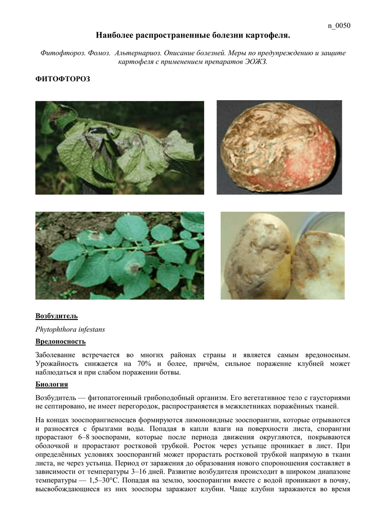 Болезни картофеля описание с фотографиями