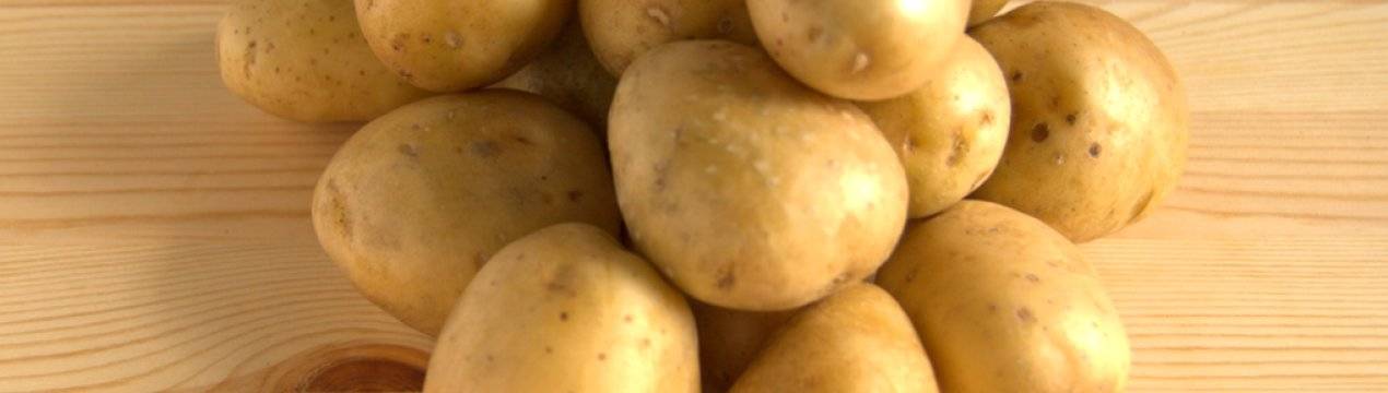 Колобок картофель характеристика отзывы. Сорт картофеля Импала. Сорт картофеля Джелли. Сорт картофеля Тимо. Сорт Импала картофель характеристика.