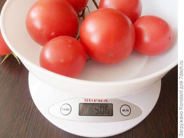 Грифон f1 — томат индетерминантный, 1 000 семян, nunhems/нунемс (голландия)
