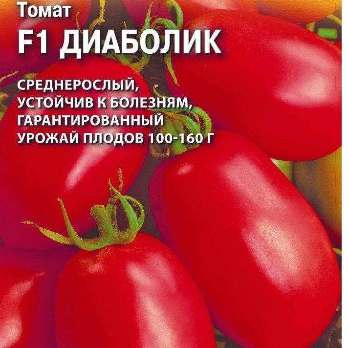 Урожайный сорт томата диаболик f1: характеристика и описание