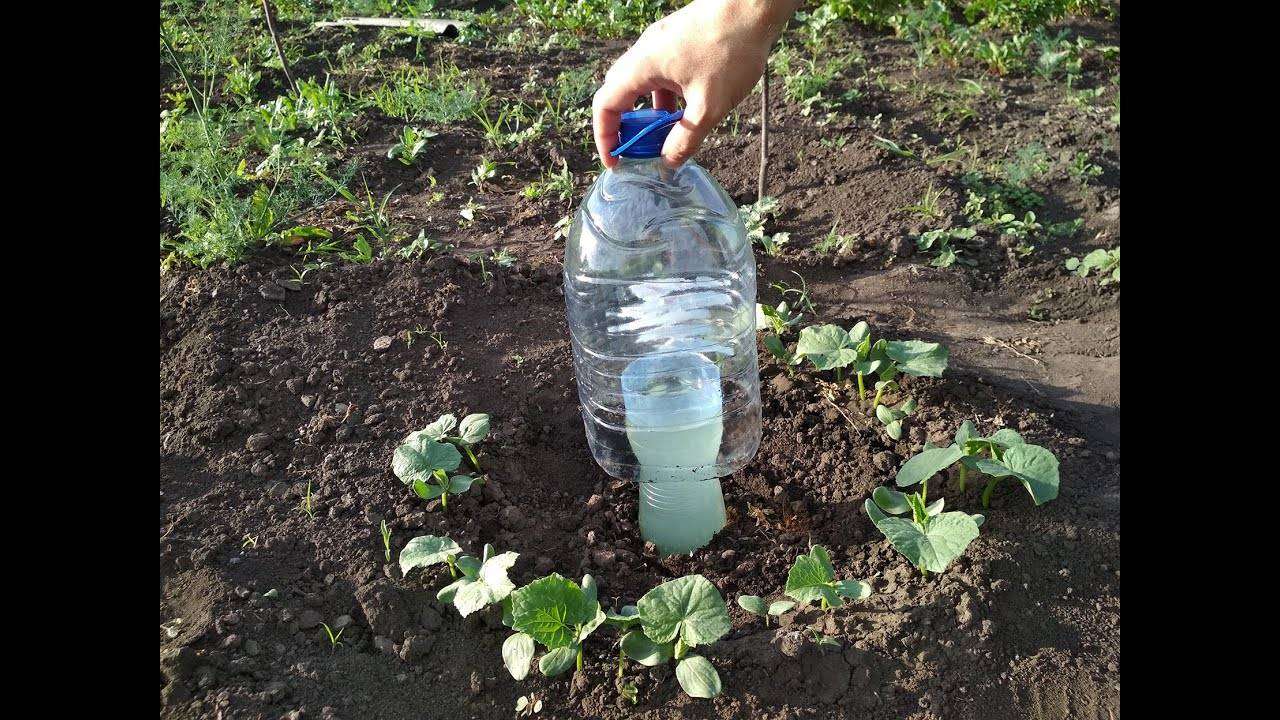 Как сделать полив из пластиковой бутылки