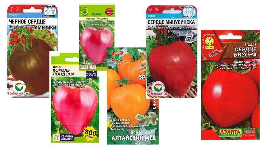 Томат сердечный поцелуй: отзывы об урожайности, фото помидоров, характеристика и описание сорта