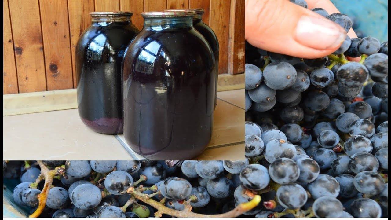 Сок виноградный с мякотью. виноградный сок на зиму в домашних условиях «трехдневный». рецепты приготовления сока на зиму