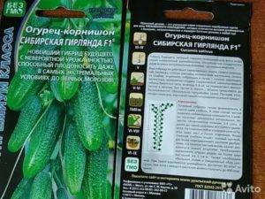 Огурцы сибирская гирлянда f1: как выращивать в теплице, описание сорта, фото + отзывы » eтеплица