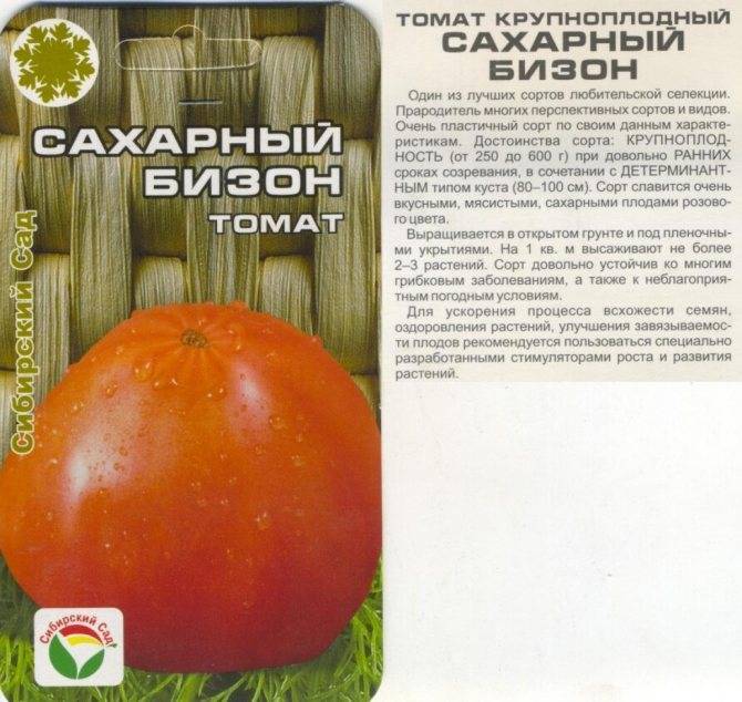 Томат бизон оранжевый: характеристики и описание сорта, урожайность, отзывы, фото