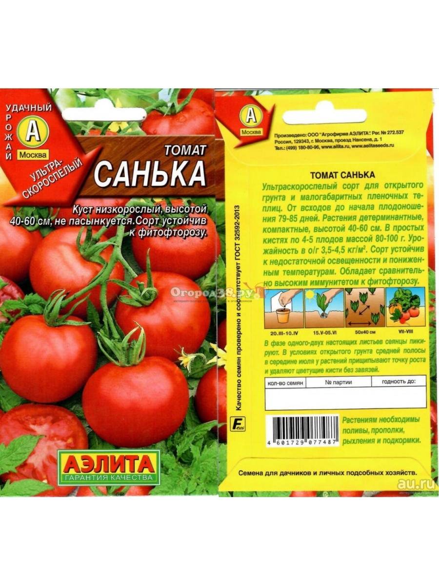 Сорта томатов сибирской селекции на 2022 год: для теплиц и открытого грунта, фото, описание и отзывы