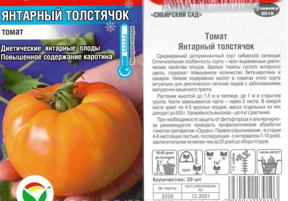 Томат янтарная россыпь: отзывы об урожайности помидоров, описание и характеристика помидоров