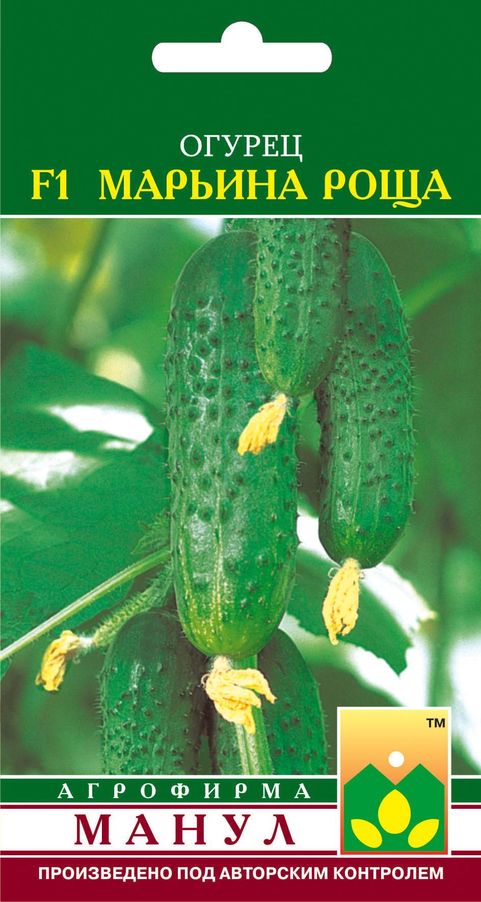 Скороспелый гибрид огурца «марьина роща f1», любимый дачниками за высокую урожайность